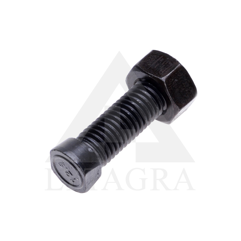 Varžtas M12x45 12.9