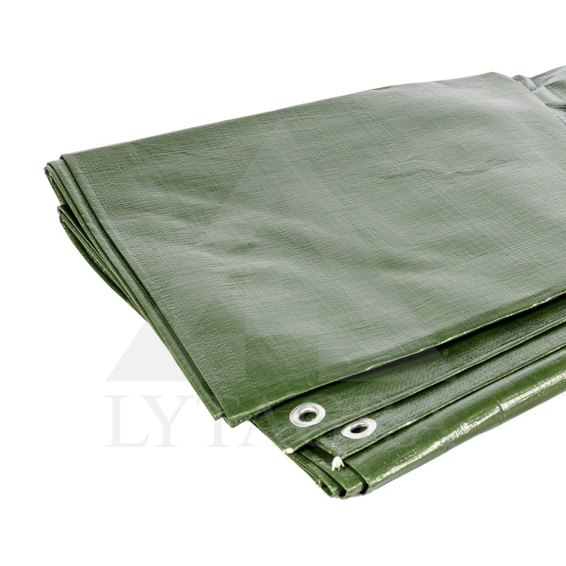 PE-0610-340 Tentas 6x10m 340g/m2 / PROFI / Lytagra