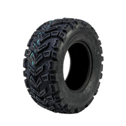 Padanga UNILLI 25x10-12 UN-713 4 PR TL