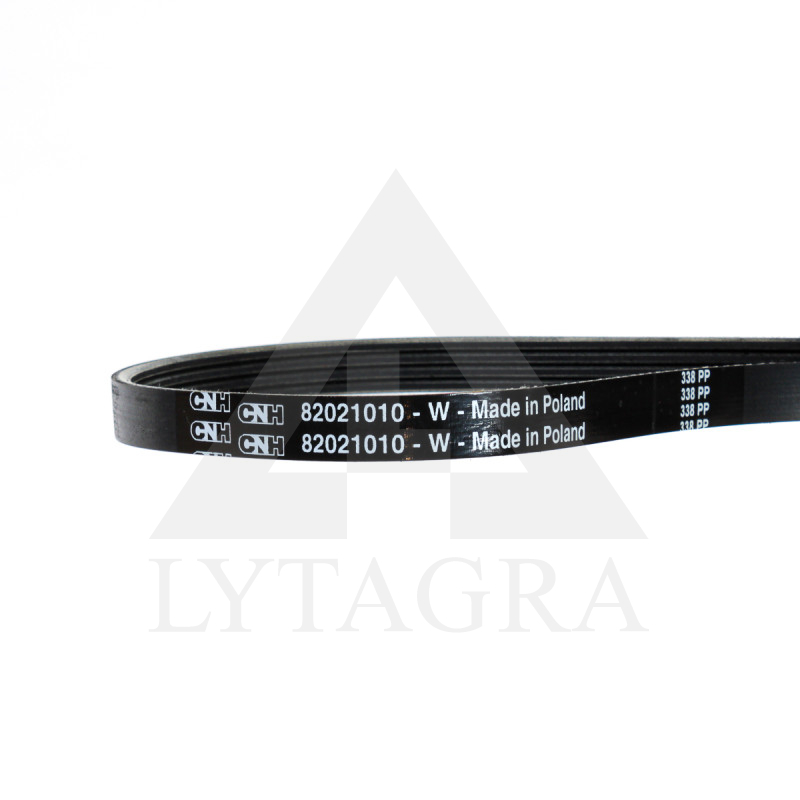 82021010 dirzas(s261)