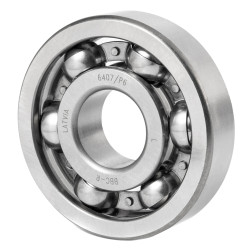 Guolis 407