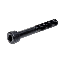9030831 VARŽTAS M8x55