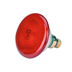 Lemputė Philips 175W