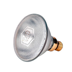 Lemputė Philips 175W