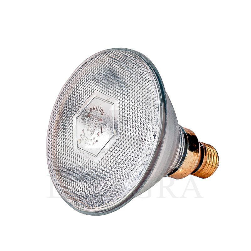 Lemputė Philips 175W