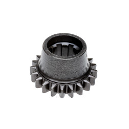 Dantratis T25-1701004(T25-1701052)