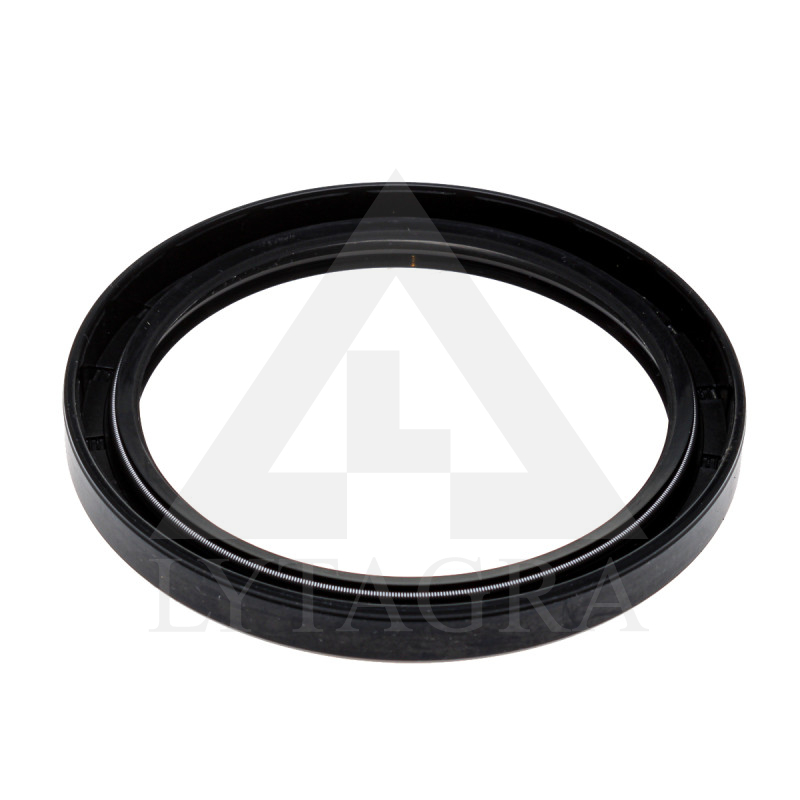 80x100x10 TC Riebokšlis