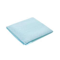 Vienkartinė palutė