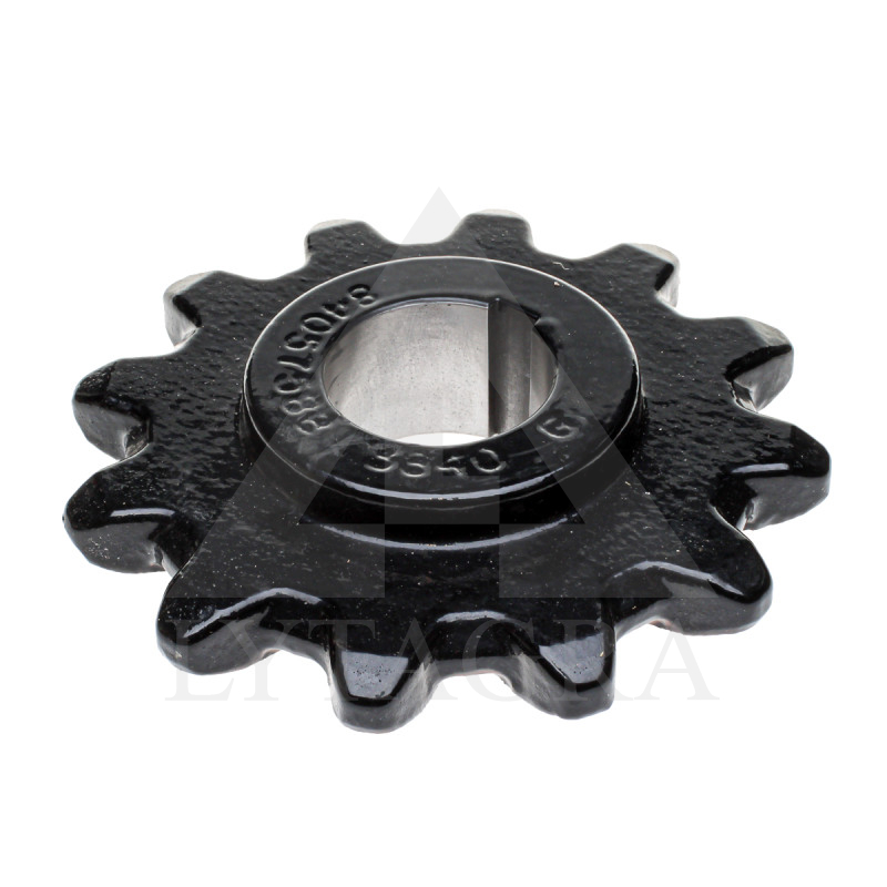 84072022 ŽVAIGŽDUTE (-/131)