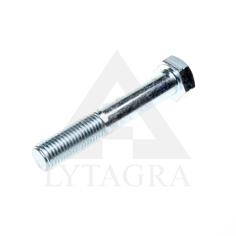 VARŽTAS CIN. 20 X 100 /8.8 DIN 931