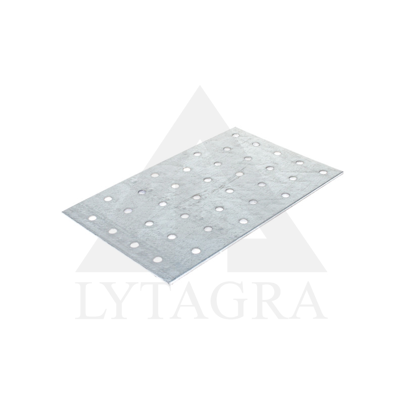 MONT.PLOKŠTELĖ 100X200X2.0