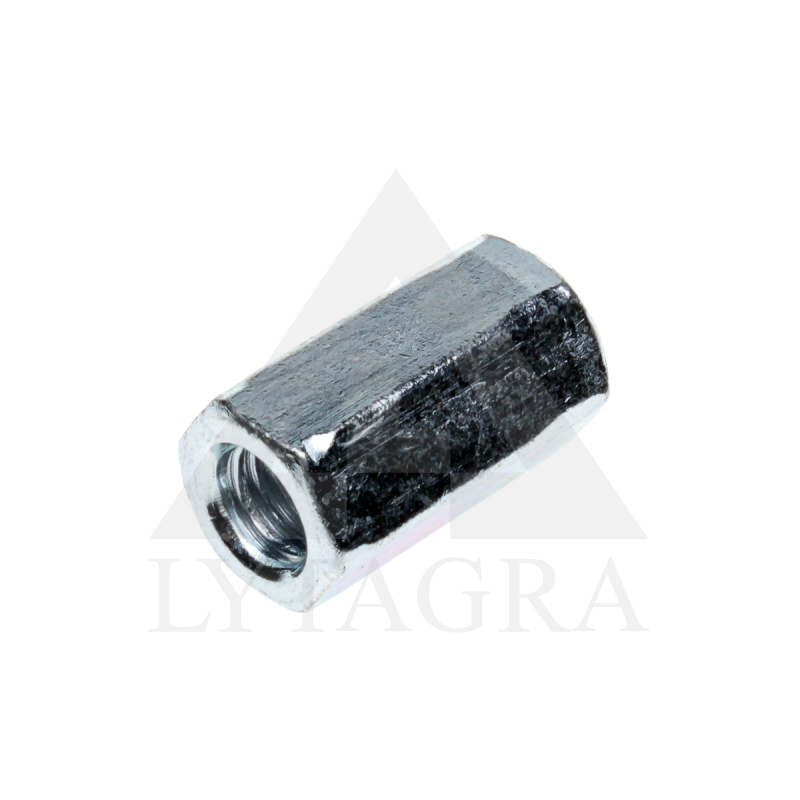 VERŽLĖ ŠEŠIABRIAUNĖ PRAILGINTA  M 10 X 30 ZN