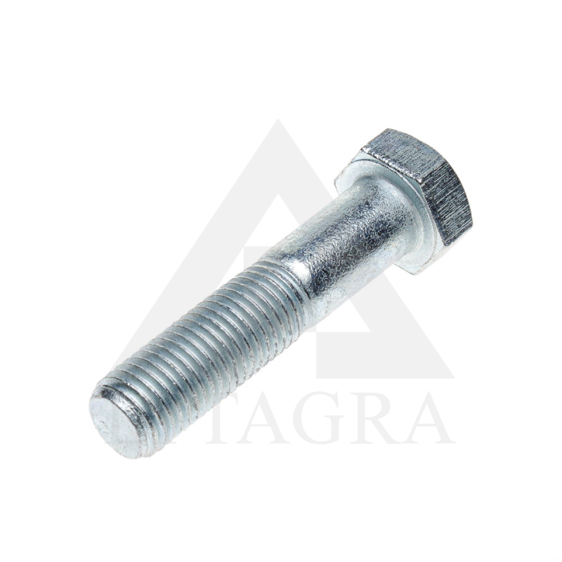 VARŽTAS CIN. 16 X 55 /8.8 DIN 931