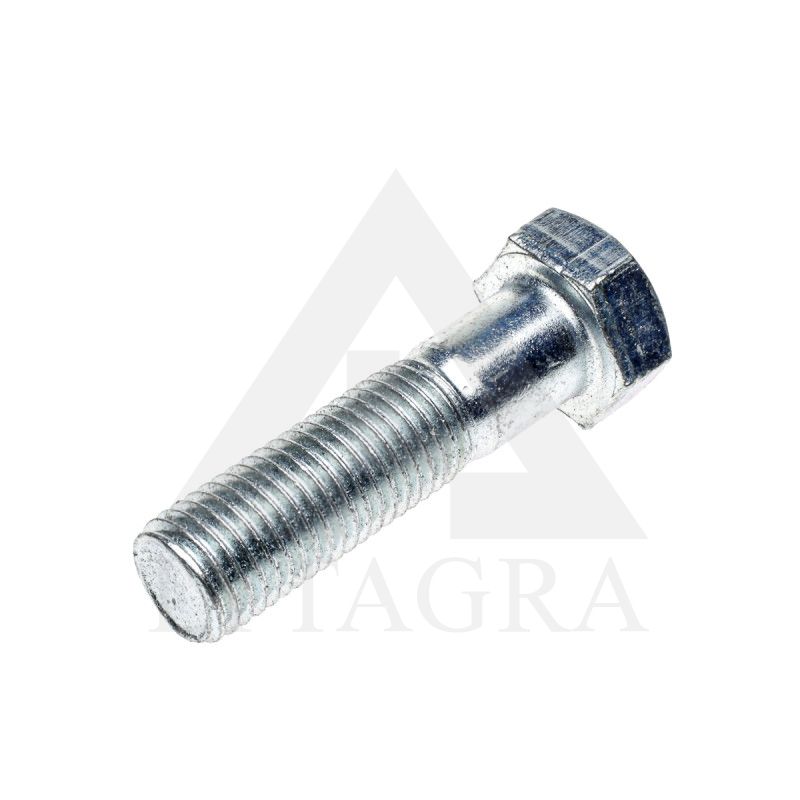 VARŽTAS CIN. 24 X 100 /8.8DIN 931
