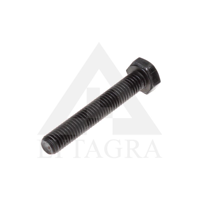VARŽTAS 8 X 60 /10.9 DIN 933