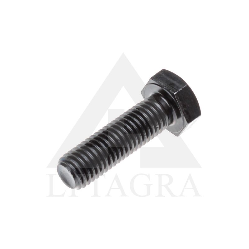 VARŽTAS 12 X 30 /10.9 DIN 933