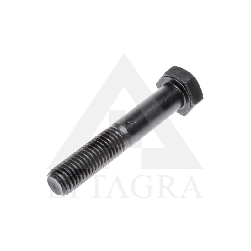 VARŽTAS 12 X 50 /10.9 DIN 931