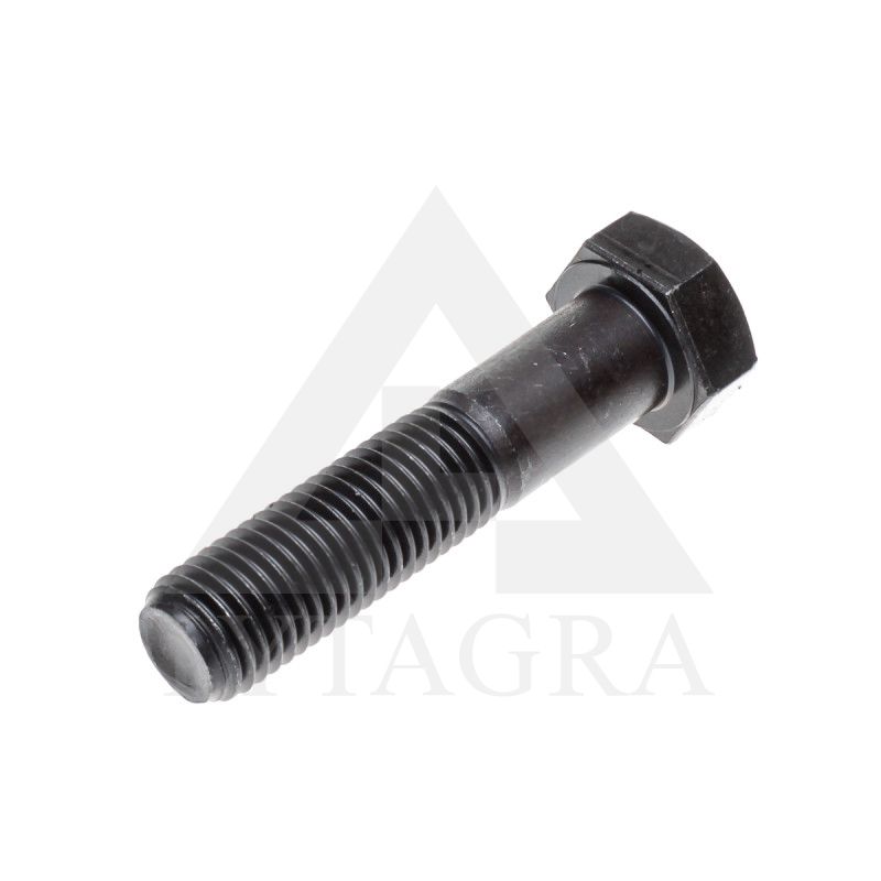 VARŽTAS 14 X 80 /10.9 DIN 931
