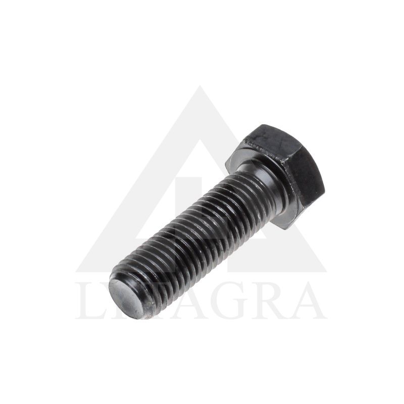 VARŽTAS 16 X 50 /10.9 DIN 933