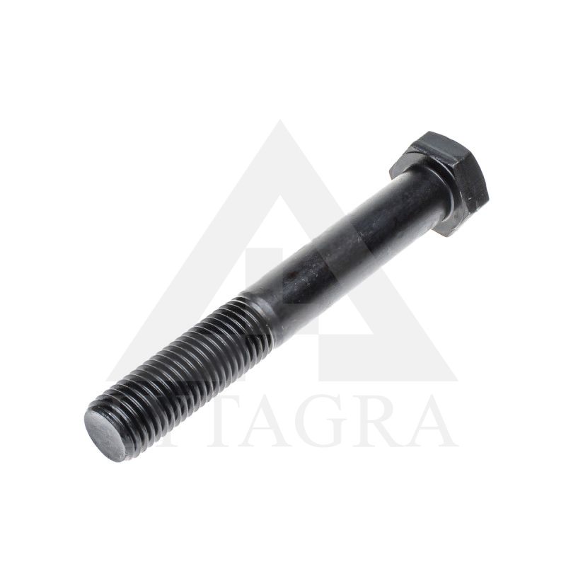 VARŽTAS 20 X 160 /10.9 DIN 931