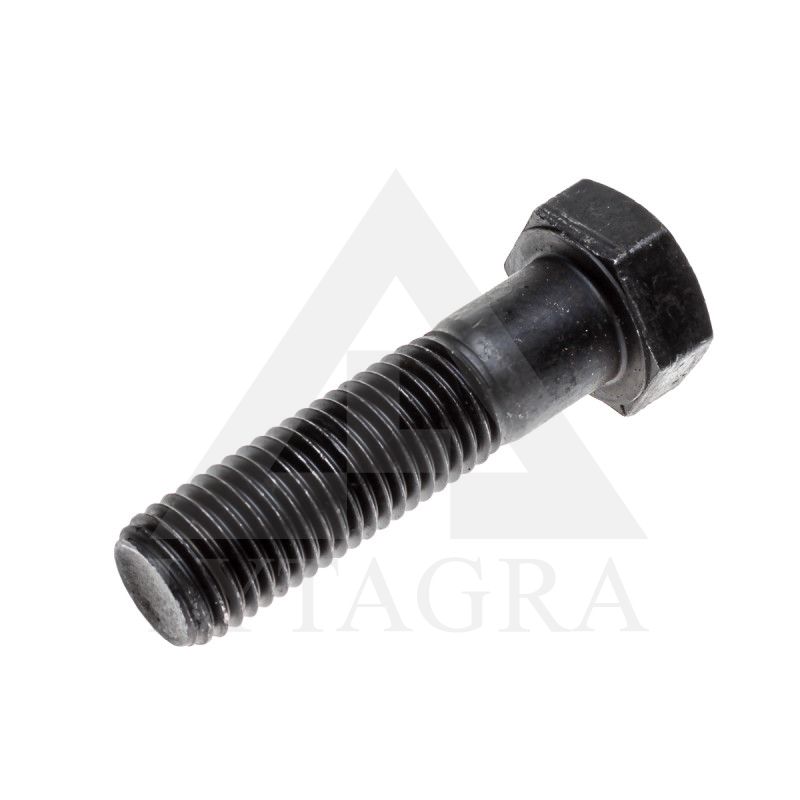 VARŽTAS 24 X 100 /10.9 DIN 931