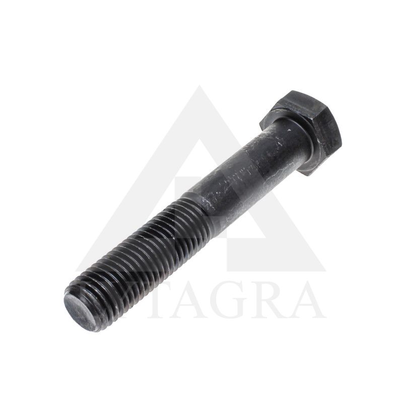 VARŽTAS 24 X 120 /10.9 DIN 931