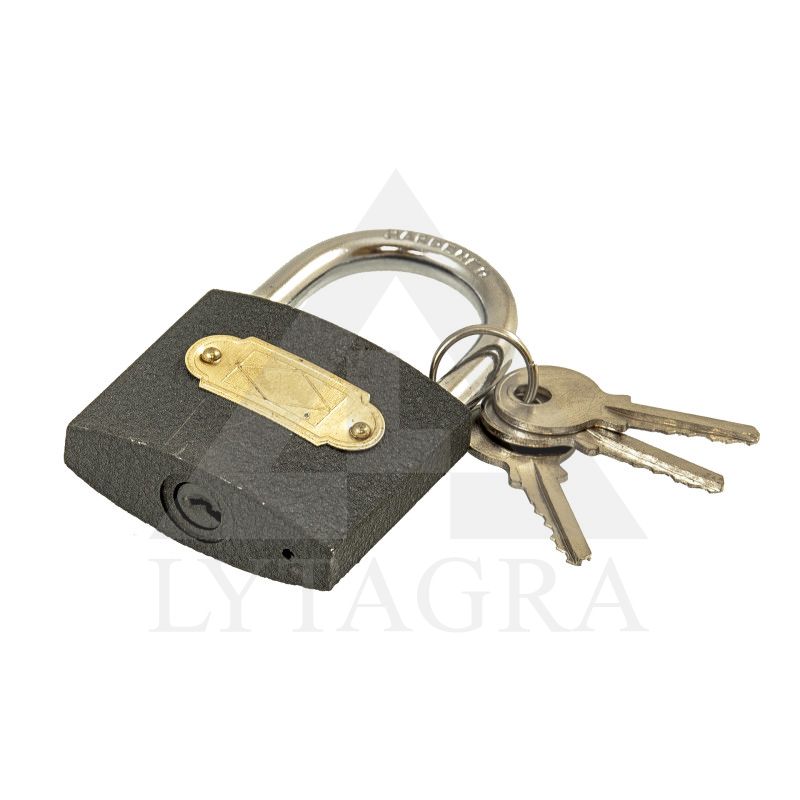 Spyna pakabinama Faster Tools 288, 60mm