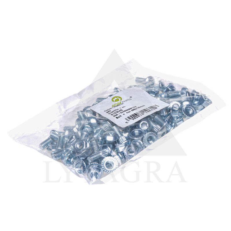 Varžtai su veržle M6 X 16 mm NEW HOLLAND 84429099 50vnt