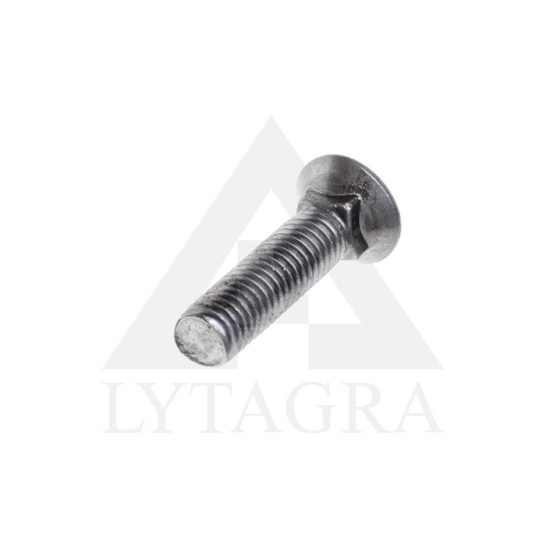 PLŪGINIS VARŽTAS 10 X 30 DIN 608
