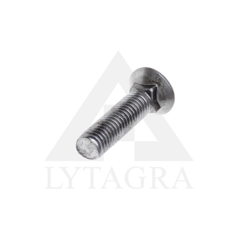 PLŪGINIS VARŽTAS 10 X 40 DIN 608