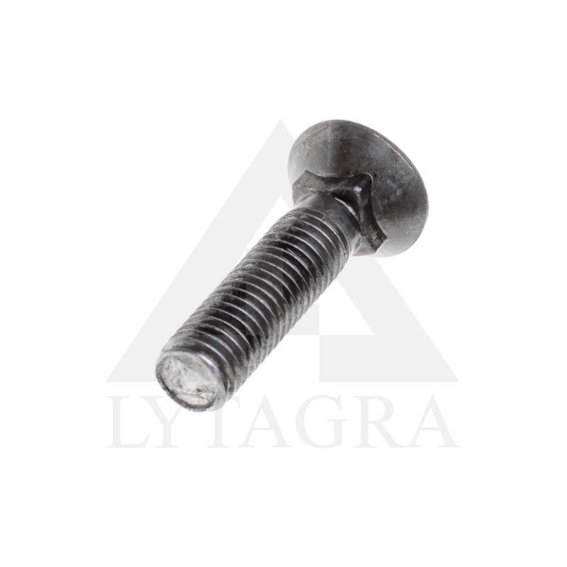 PLŪGINIS VARŽTAS 12 X 30 DIN 608