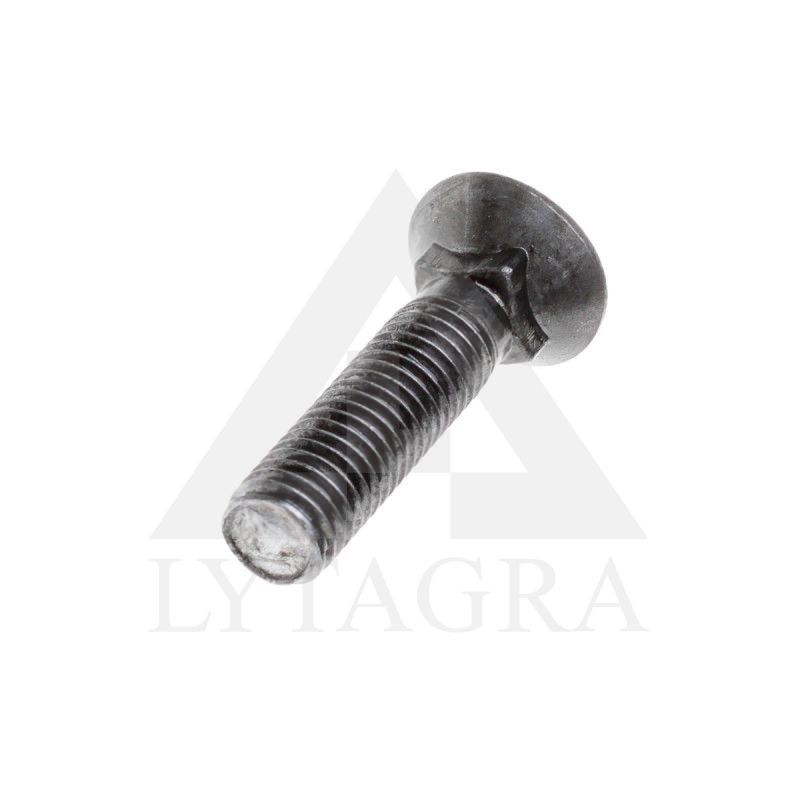 PLŪGINIS VARŽTAS 12 X 35 DIN 608