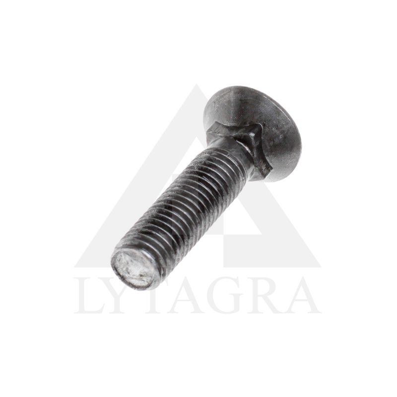 PLŪGINIS VARŽTAS 12 X 50 DIN 608