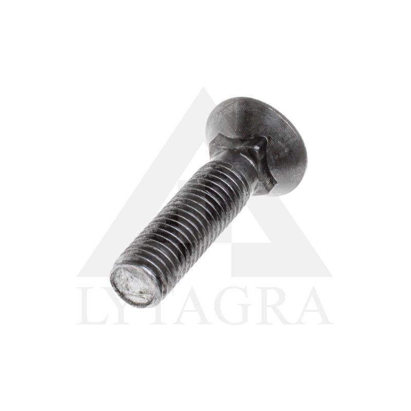 PLŪGINIS VARŽTAS 12 X 65 DIN 608