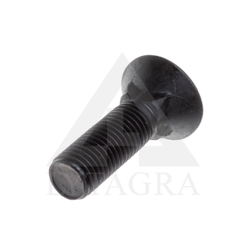 PLŪGINIS VARŽTAS 16 X 45 DIN 608 8.8