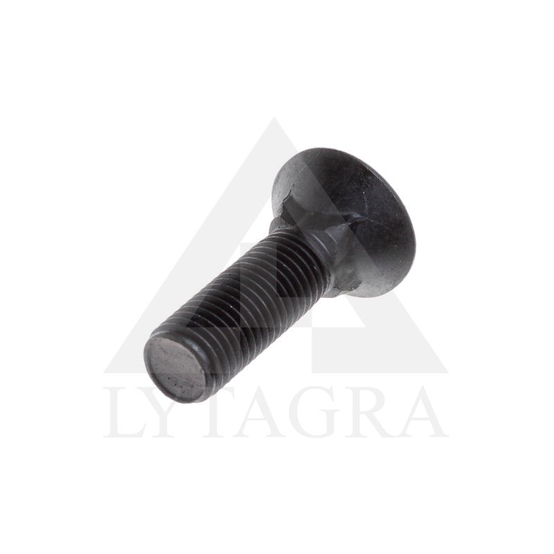 PLŪGINIS VARŽTAS 16 X 55 DIN 608 8.8
