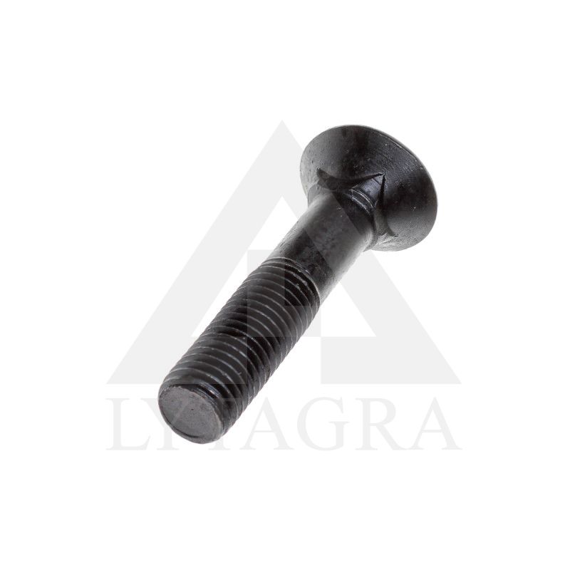 PLŪGINIS VARŽTAS 18 X 70 DIN 608 8.8