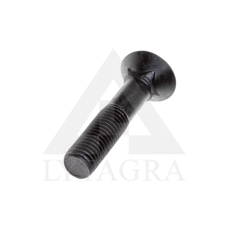 PLŪGINIS VARŽTAS 18 X 100 DIN 608 8.8