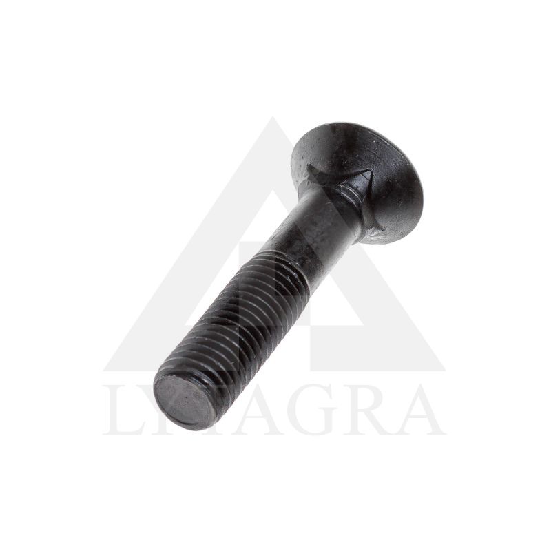 PLŪGINIS VARŽTAS 18 X 110 DIN 608 8.8