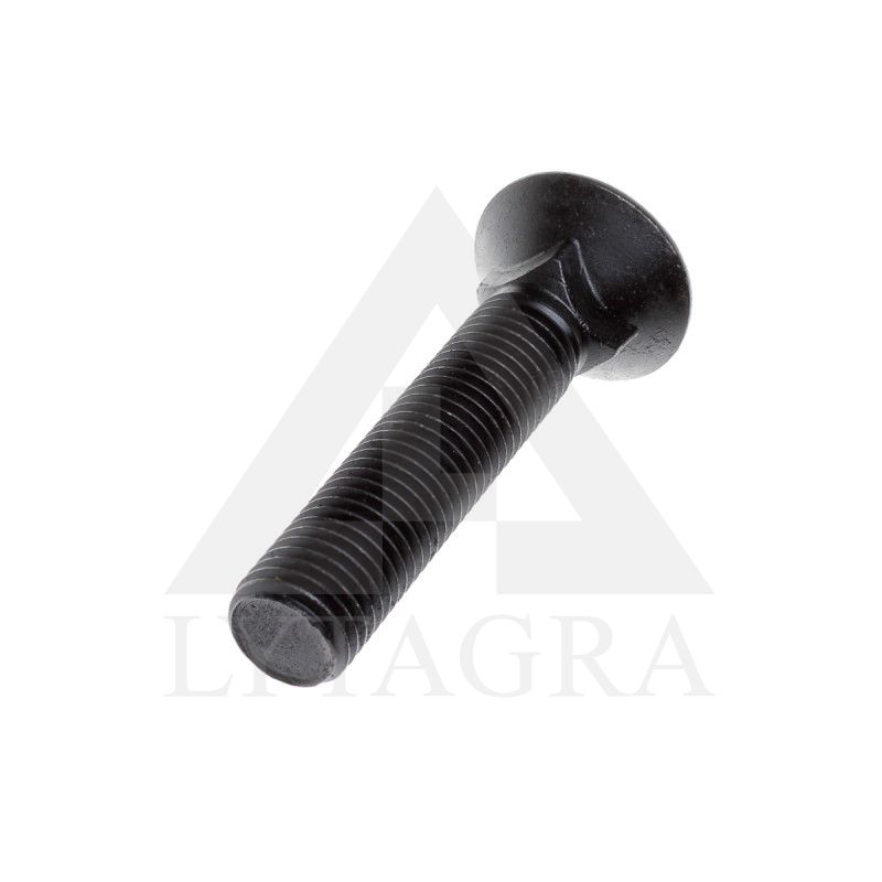 PLŪGINIS VARŽTAS 20 X 90 DIN 608 8.8