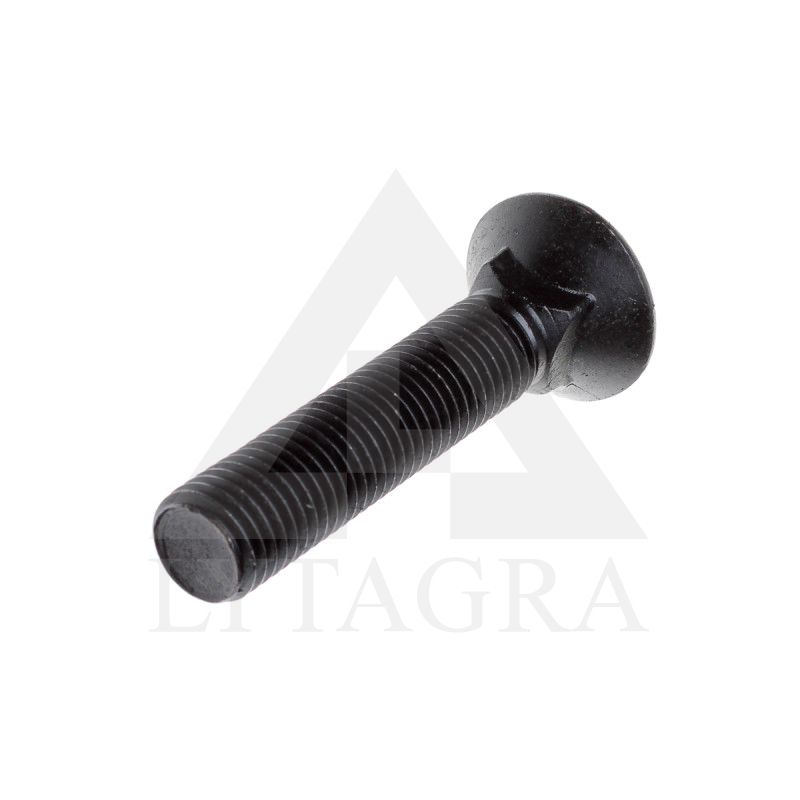 PLŪGINIS VARŽTAS 20 X 120 DIN 608 8.8
