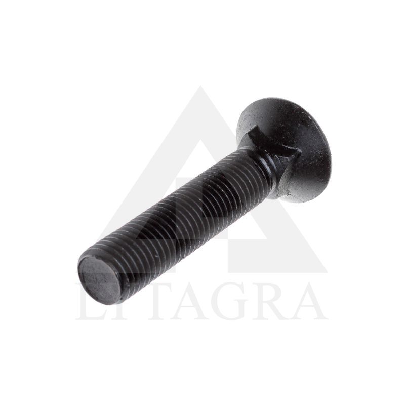 PLŪGINIS VARŽTAS 20 X 70 DIN 608 8.8