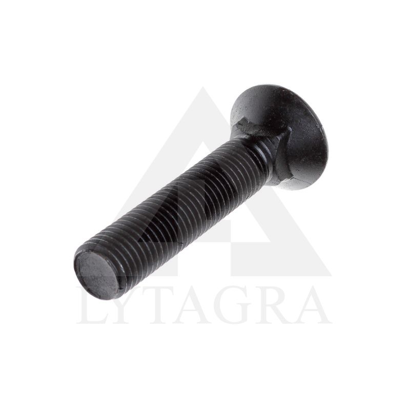 PLŪGINIS VARŽTAS 20 X 80 DIN 608 8.8