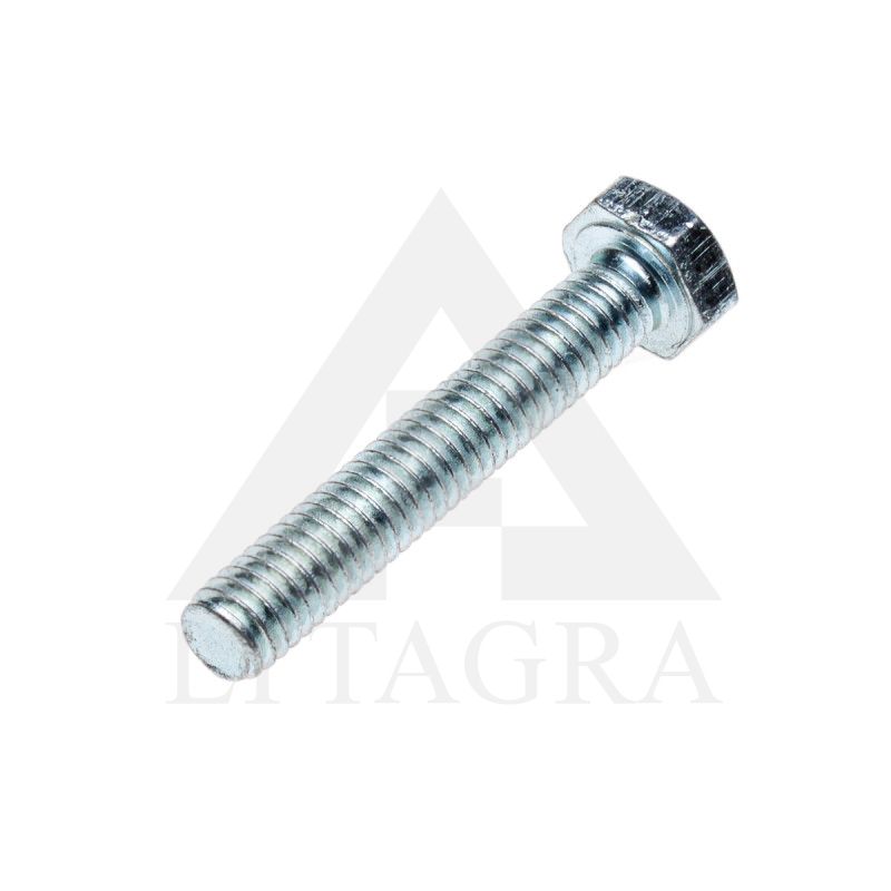 VARŽTAS CIN. 6 X 40 /8.8DIN 933