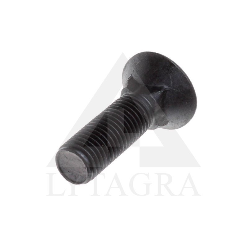 PLŪGINIS VARŽTAS 16 X 80 DIN 608 8.8
