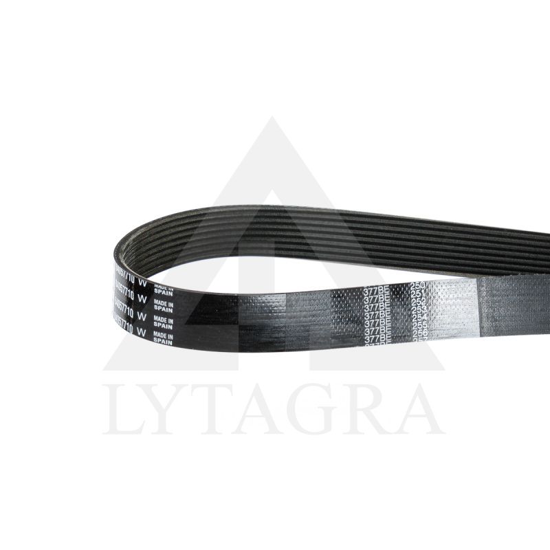 84057710 DIRŽAS(-/s267)