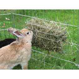 82783 ŠERYKLA CINKUOTA GRAUŽIKAMS 17x13 CM