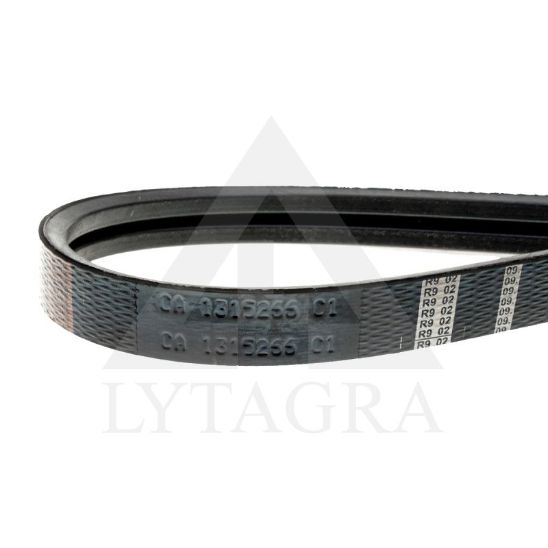 Diržas HARVEST BELTS 2B BP/H-3280 DF 01141608