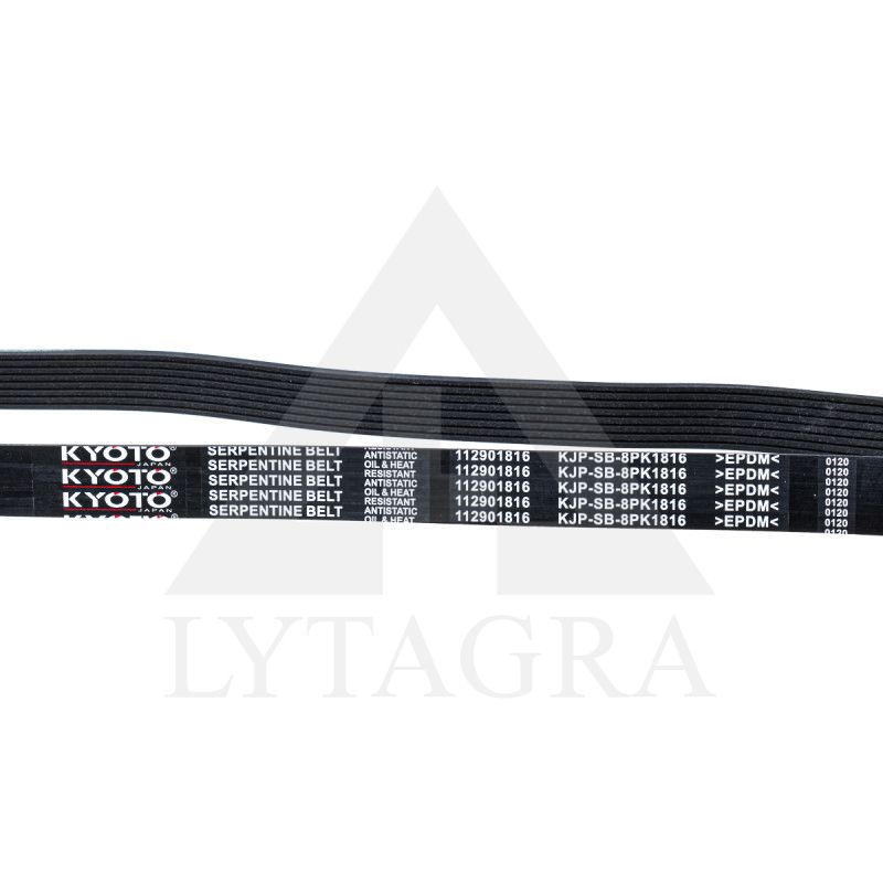 Diržas KYOTO JAPAN 8PK 1816`
