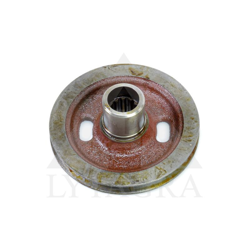 240-1005131G AL. VELENO SKRIEM 1 DIRZ. ORG.